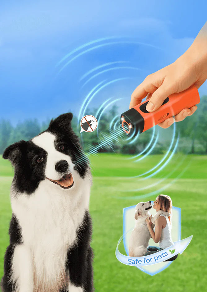 Watch Barking and Bad Behaviors Disappear at the Touch of a Button