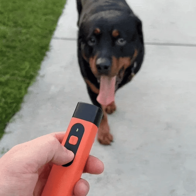 Watch Barking and Bad Behaviors Disappear at the Touch of a Button