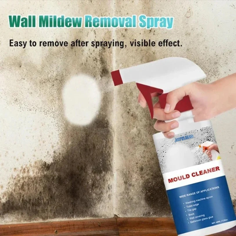 🔥Christmas Limited-Time Discount JAYSUING™ | Mold Cleaner Revive Spray: A Fast Mold Removal Solution