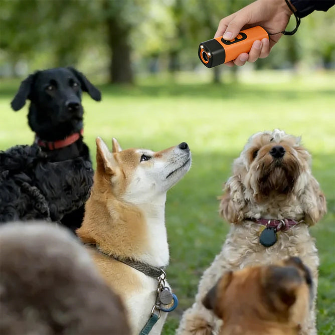 Watch Barking and Bad Behaviors Disappear at the Touch of a Button
