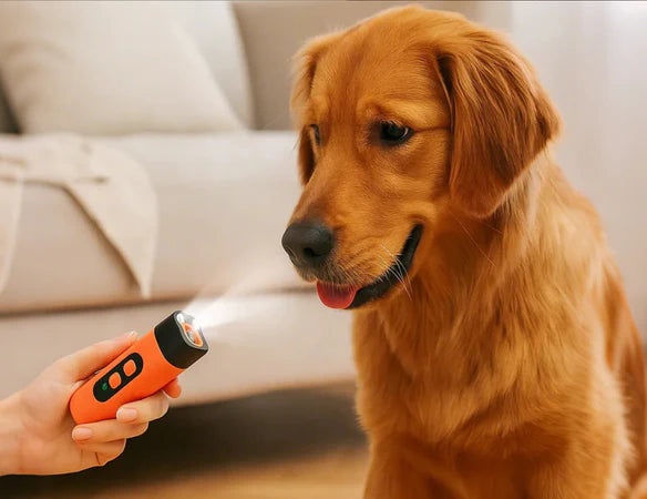 Watch Barking and Bad Behaviors Disappear at the Touch of a Button