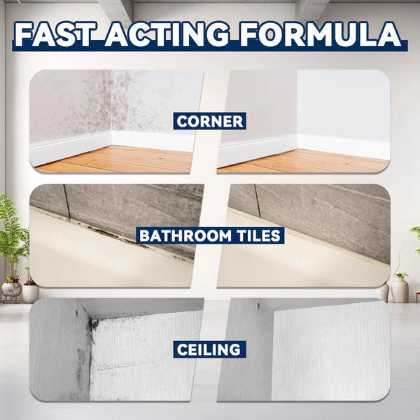 🔥Christmas Limited-Time Discount JAYSUING™ | Mold Cleaner Revive Spray: A Fast Mold Removal Solution